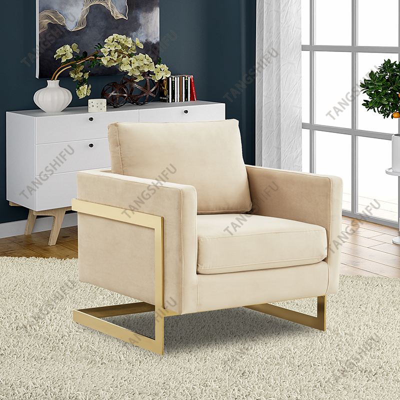 TSF-7724-1-BG